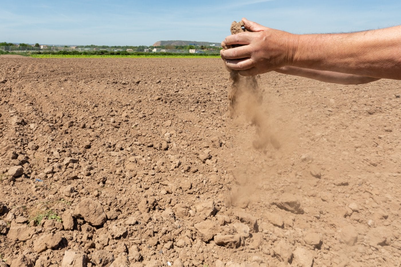 Campos secos de Varea, donde deberían haberse plantado hortalizas.