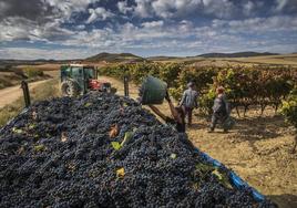 Decepción unánime del sector del vino por la «falta de compromiso» de Andreu