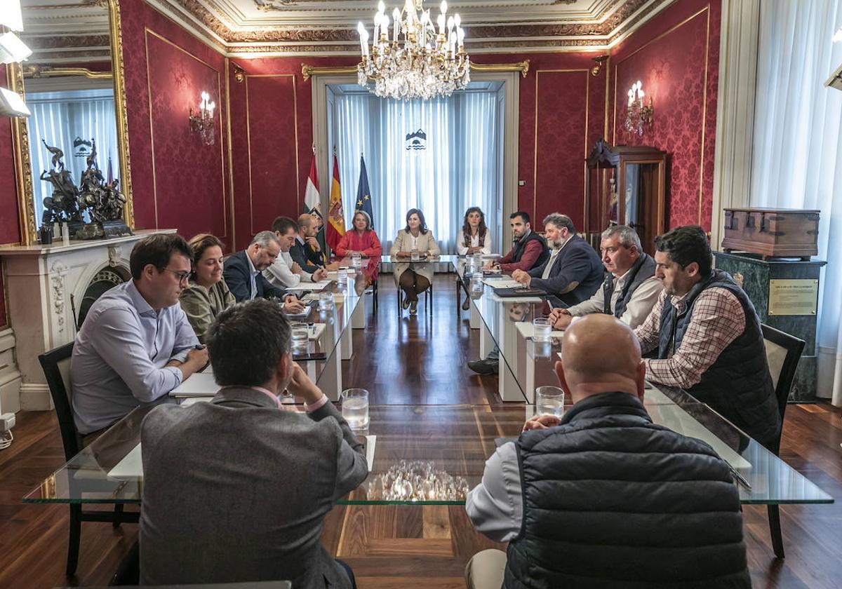 Reunión este jueves entre el sector vinícola y la presidenta del Gobierno, Concha Andreu.