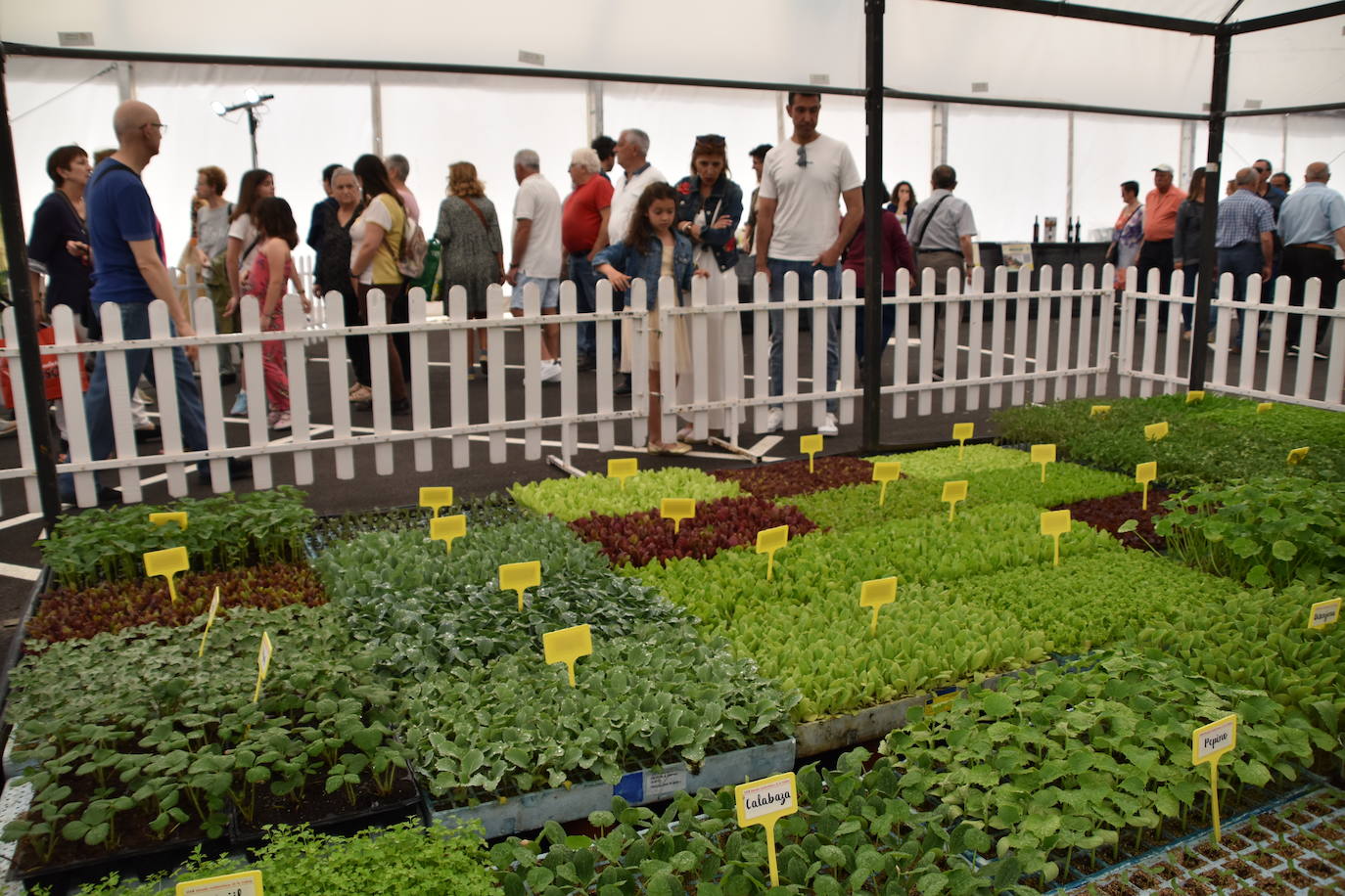 El mercado más verde de Calahorra