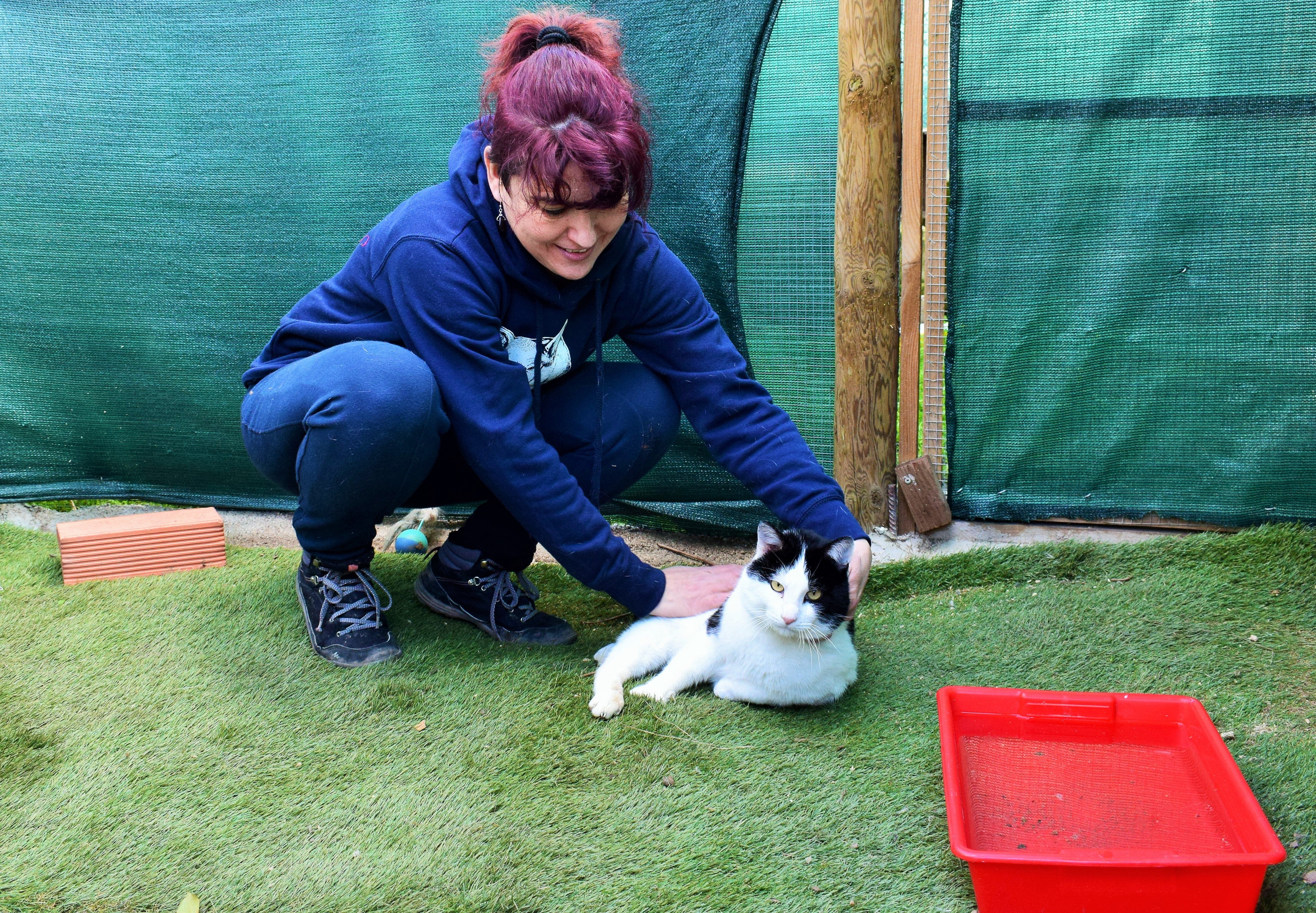 Rosa López posa con uno de los gatos de adopción de Colaboración Animal.