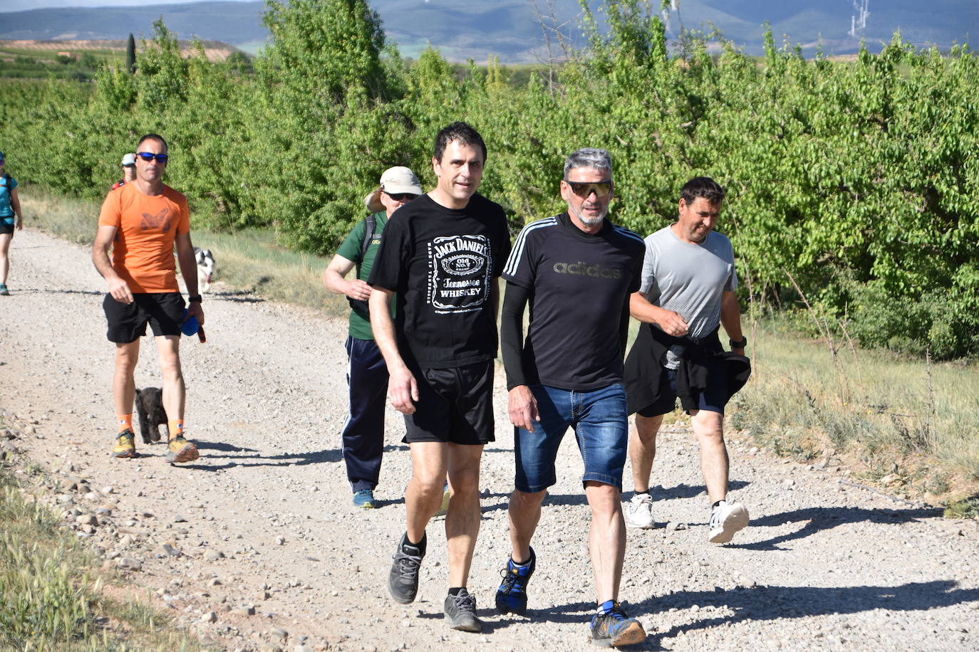 Marcha &#039;Entre sotos&#039; en Rincón de Soto