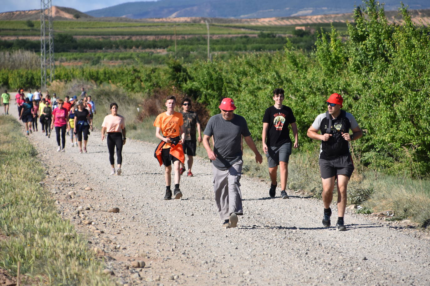 Marcha &#039;Entre sotos&#039; en Rincón de Soto