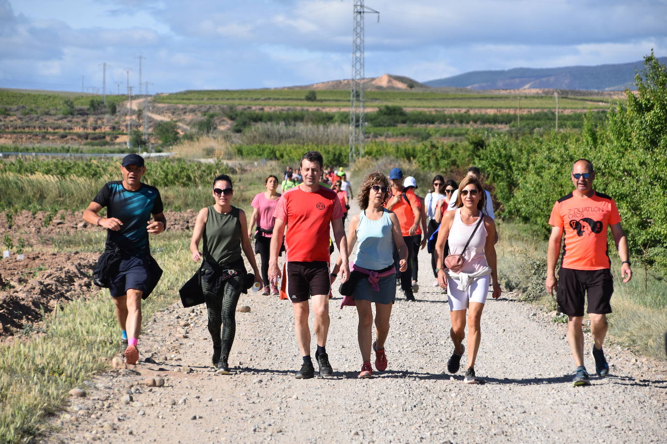 Marcha &#039;Entre sotos&#039; en Rincón de Soto