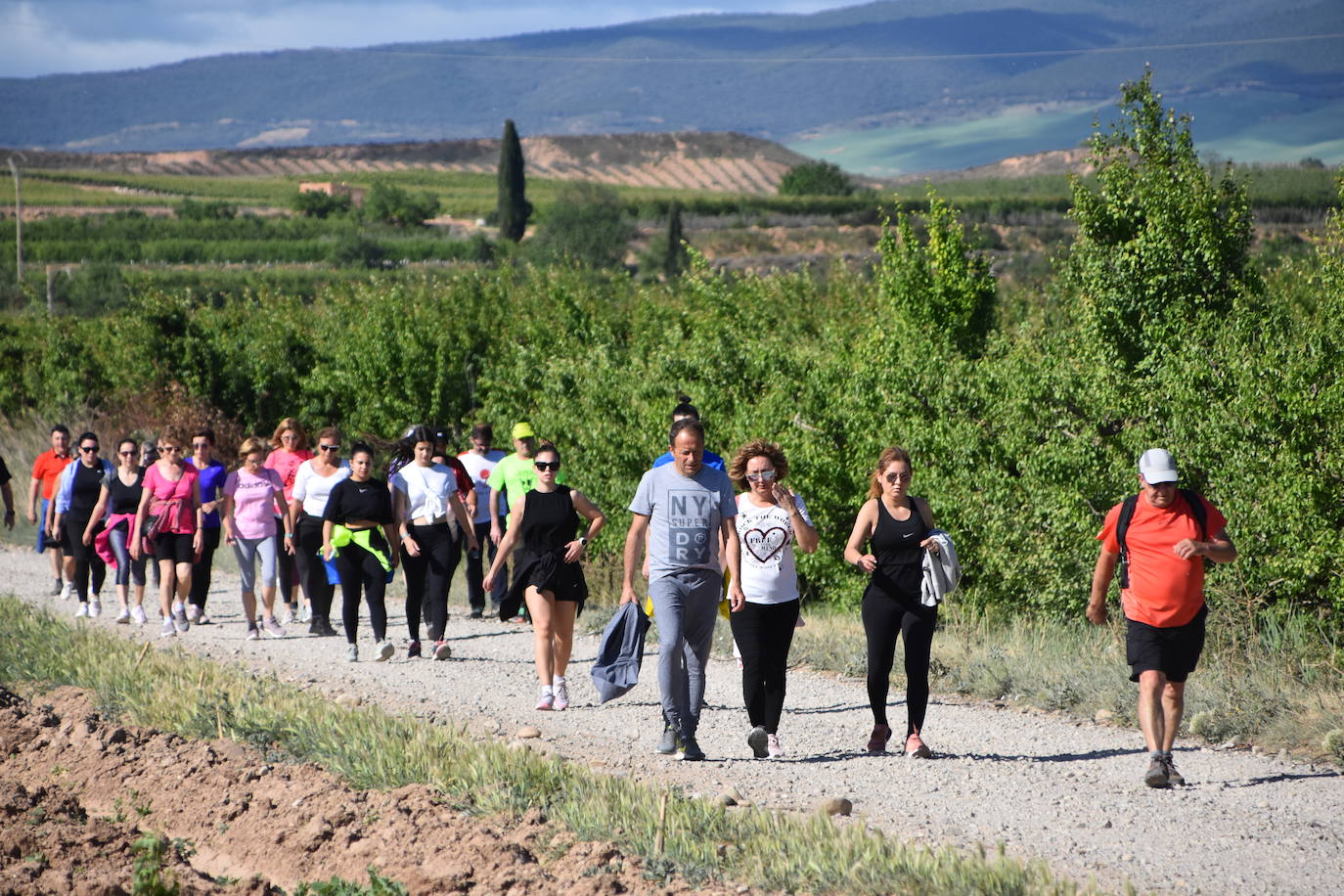 Marcha &#039;Entre sotos&#039; en Rincón de Soto