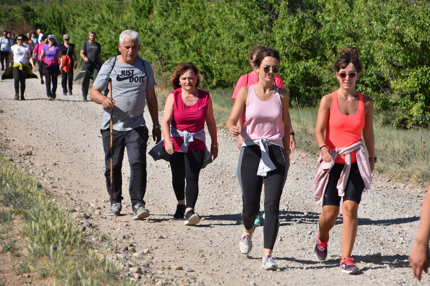 Marcha &#039;Entre sotos&#039; en Rincón de Soto