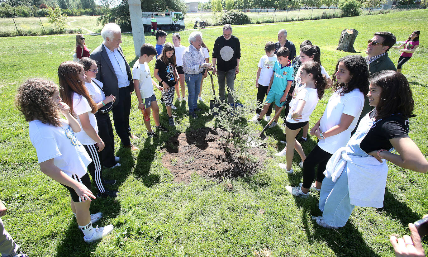 Alumnos del colegio 7 Infantes plantan doce árboles en el Bosque de la Danza