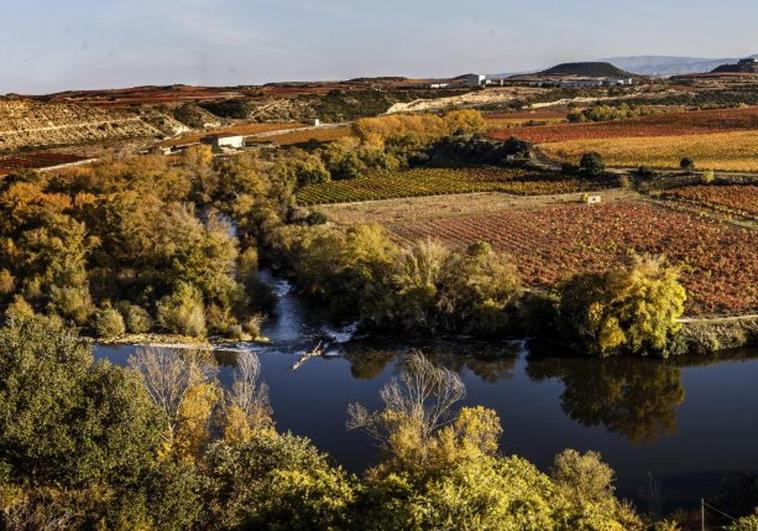 Rioja: un modelo en cuestión desde mucho antes de la pandemia