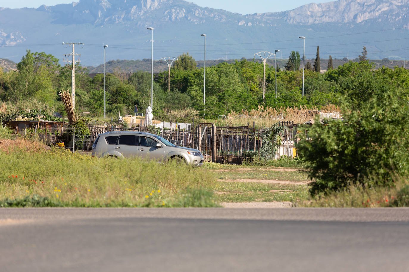 Las huertas sin autorización del Camino Viejo de Lardero