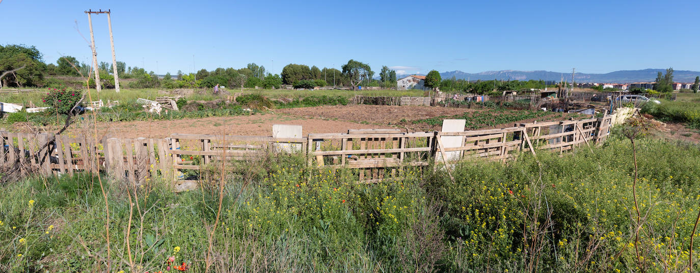 Las huertas sin autorización del Camino Viejo de Lardero