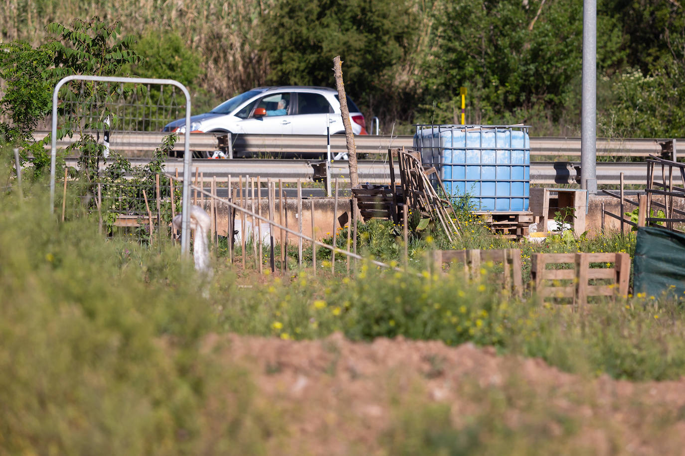 Las huertas sin autorización del Camino Viejo de Lardero