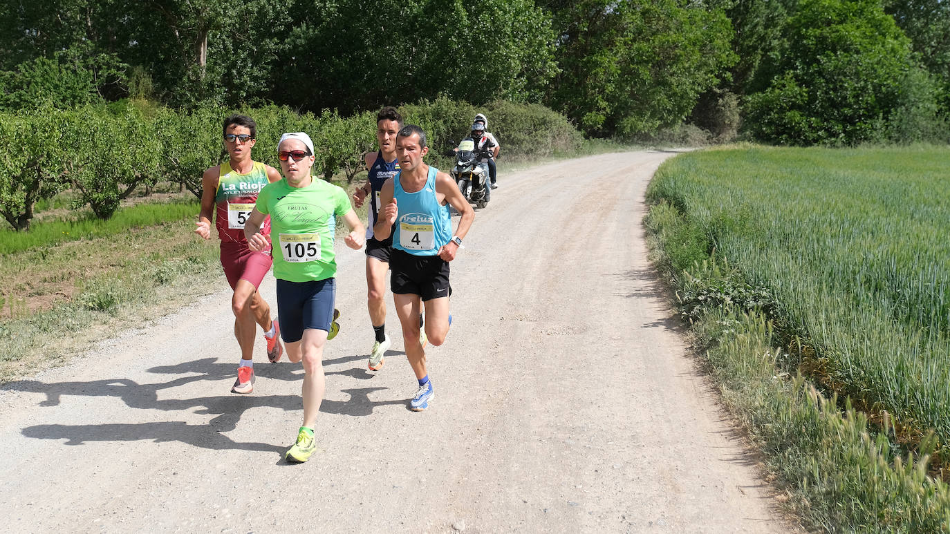 Carrera del Valle de Iregua