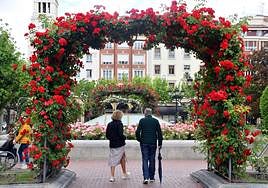 Estallido floral de los rosales de Logroño