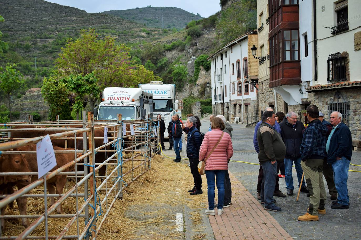 VI Feria del Ganado Selecto del Camero Viejo