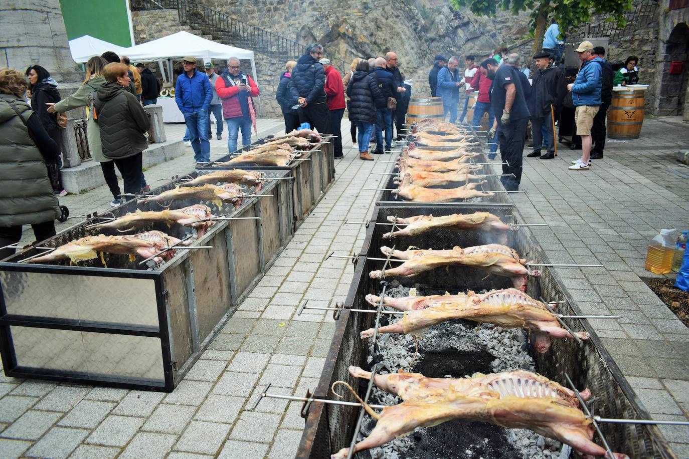 VI Feria del Ganado Selecto del Camero Viejo