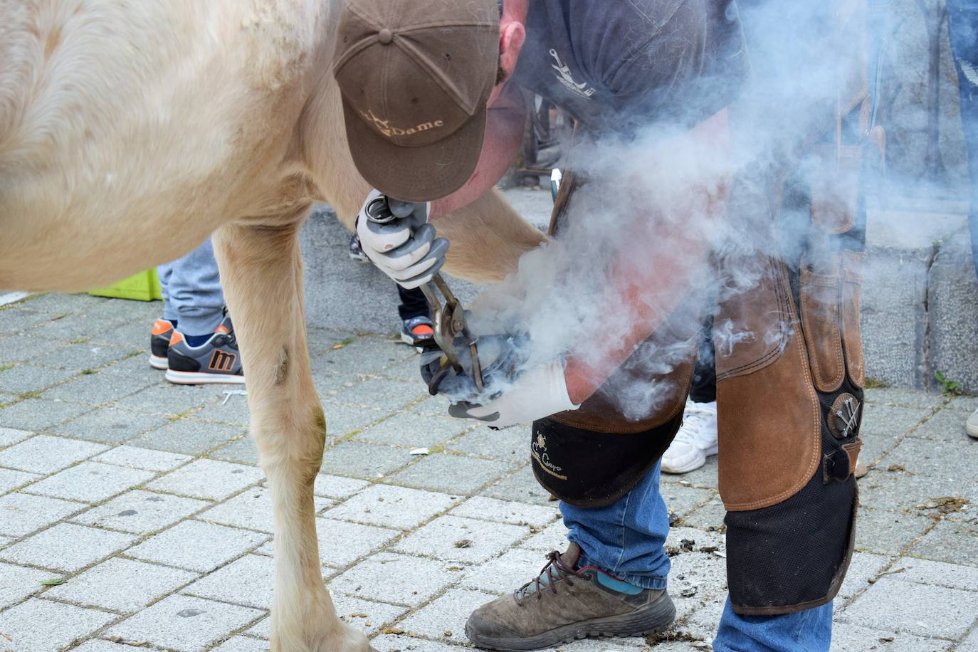 VI Feria del Ganado Selecto del Camero Viejo