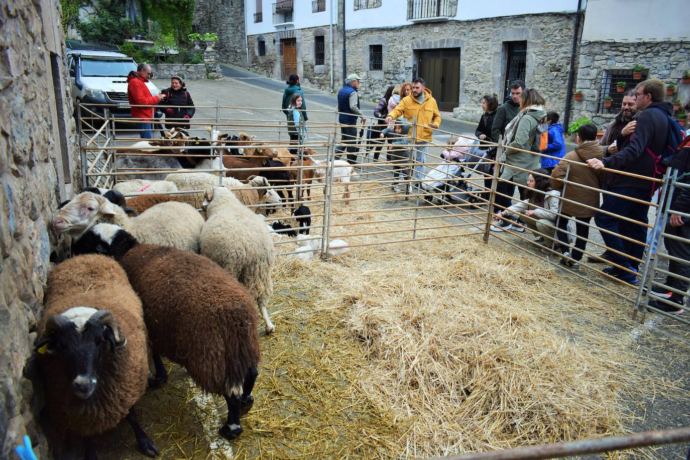 VI Feria del Ganado Selecto del Camero Viejo