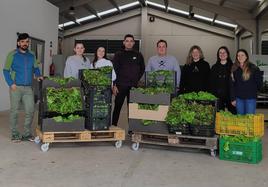 100 kilos de lechugas 'universitarias' para la Cocina Económica