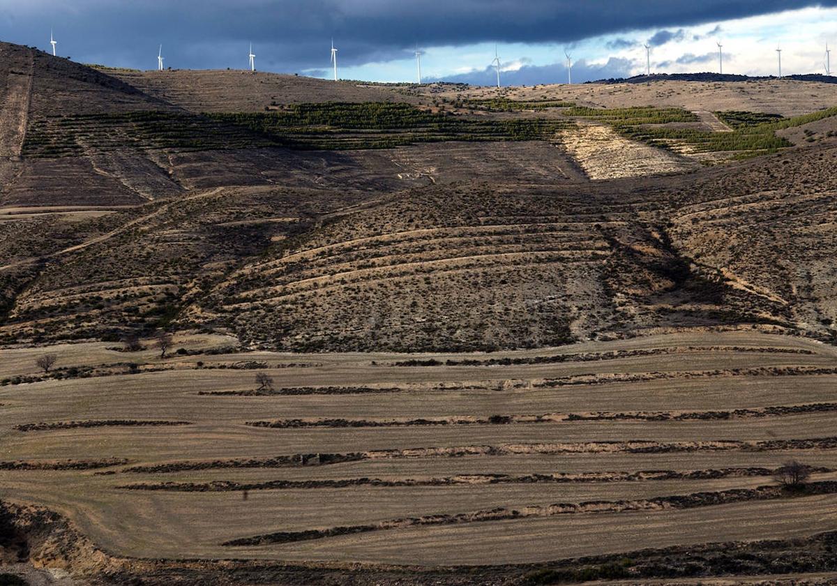 Vista de la sierra de Alcarama.