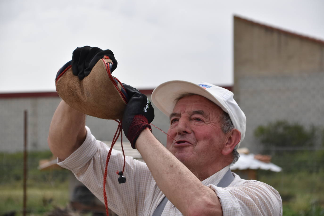 Reparto de tostadas por San Isidro, en Igea