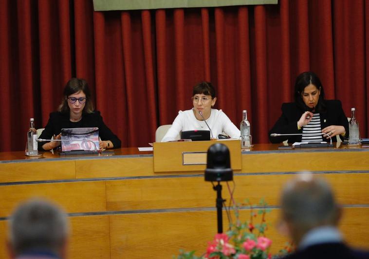 Un momento del pleno celebrado este jueves en el Ayuntamiento de Logroño.