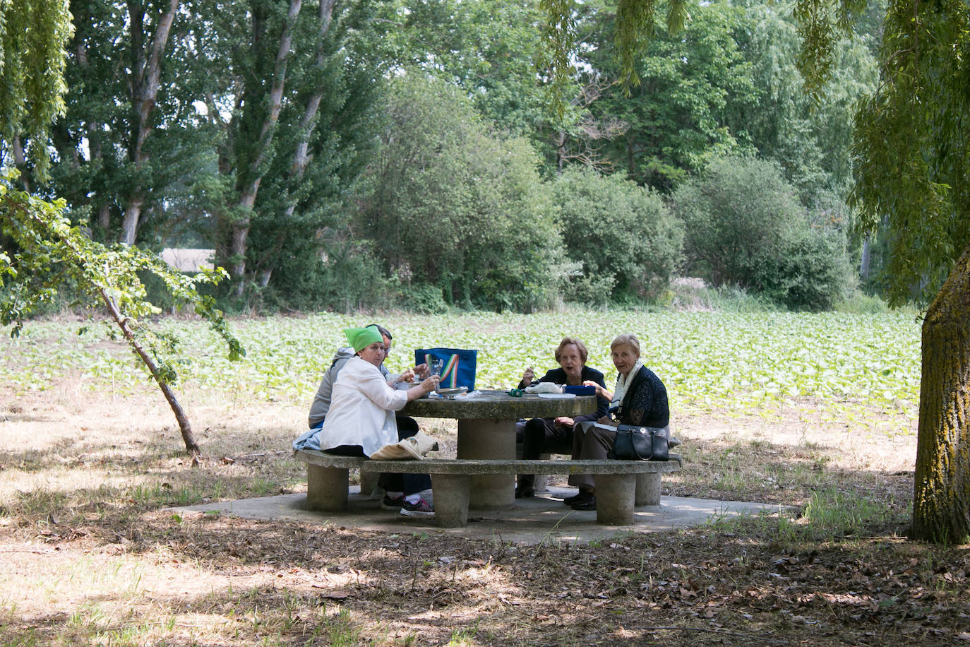 Romería a Las Abejas, esta vez a por lentejas