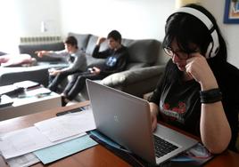 Una riojana teletrabajando desde casa durante el confinamiento por la pandemia.