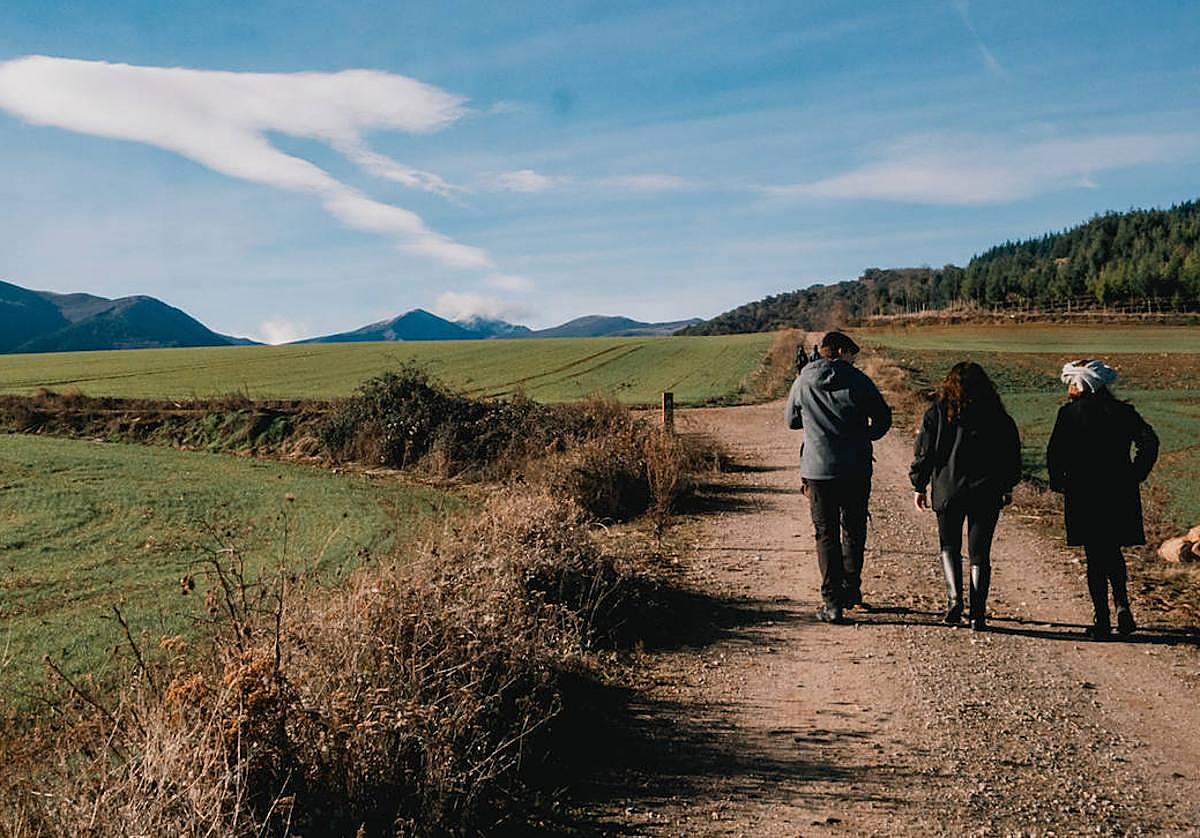 Tramo de la ruta propuesta por Local Sounds en el Valle del Cárdenas.