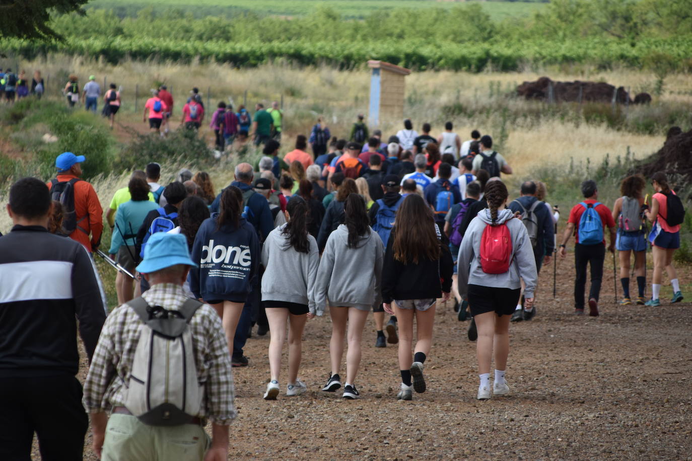 IX marcha Villa de Tudelilla