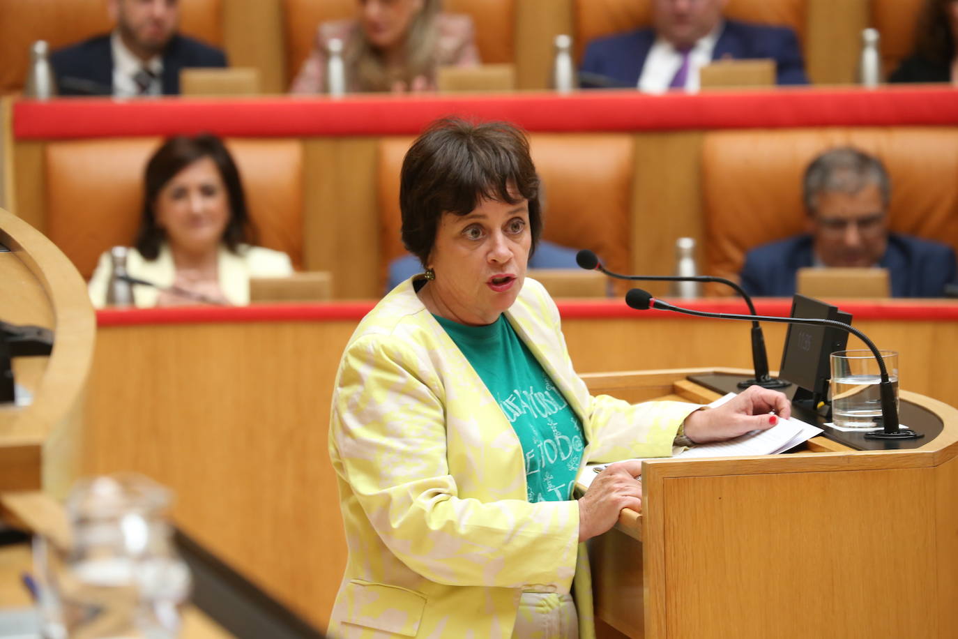 Henar Moreno, portavoz de Podemos-IU, durante su intervención en el pleno. 