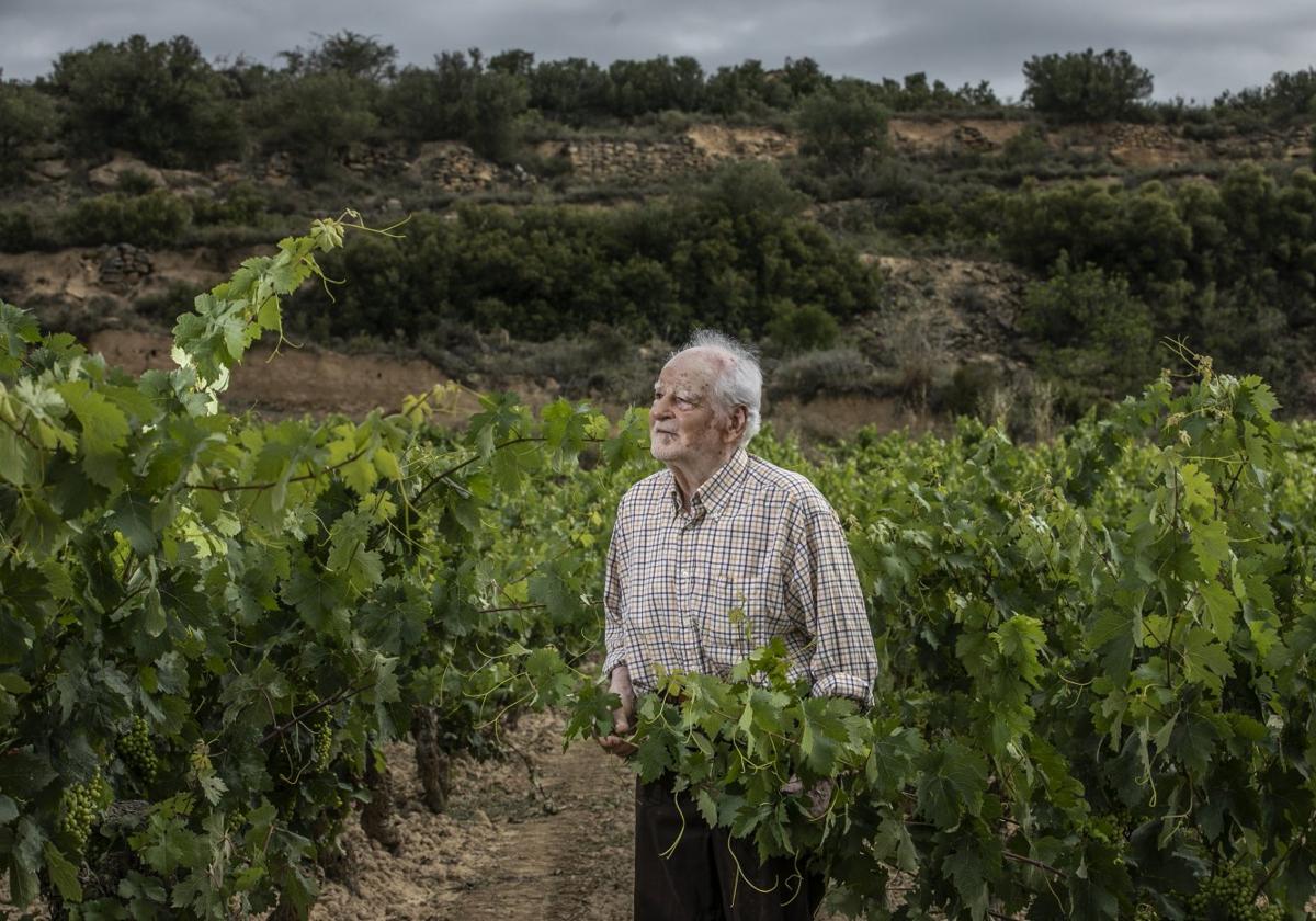 Ricardo Fernández, en uno de sus viñedos.