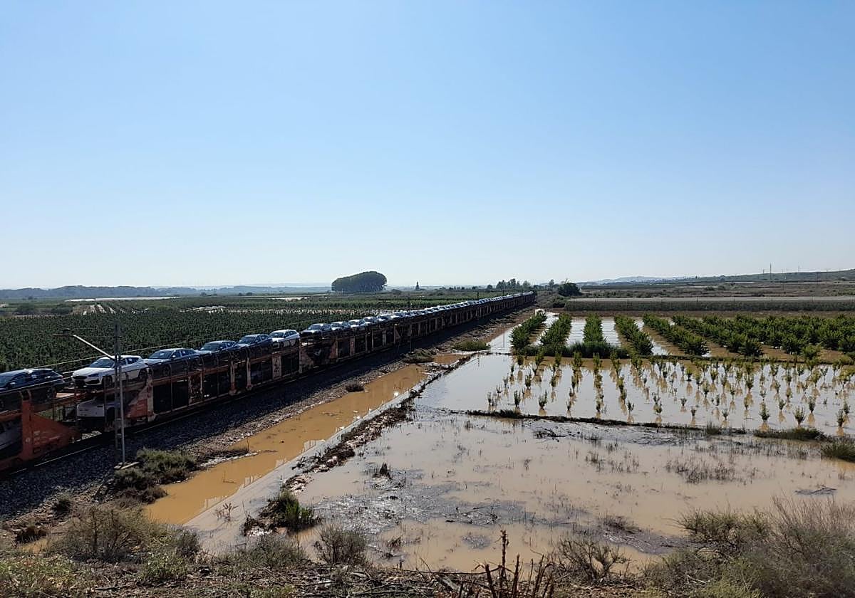 Fincas anegadas en la zona de Rincón de Soto tras la tormenta del viernes, que dejarán con toda seguridad más daños importantes en cultivos.