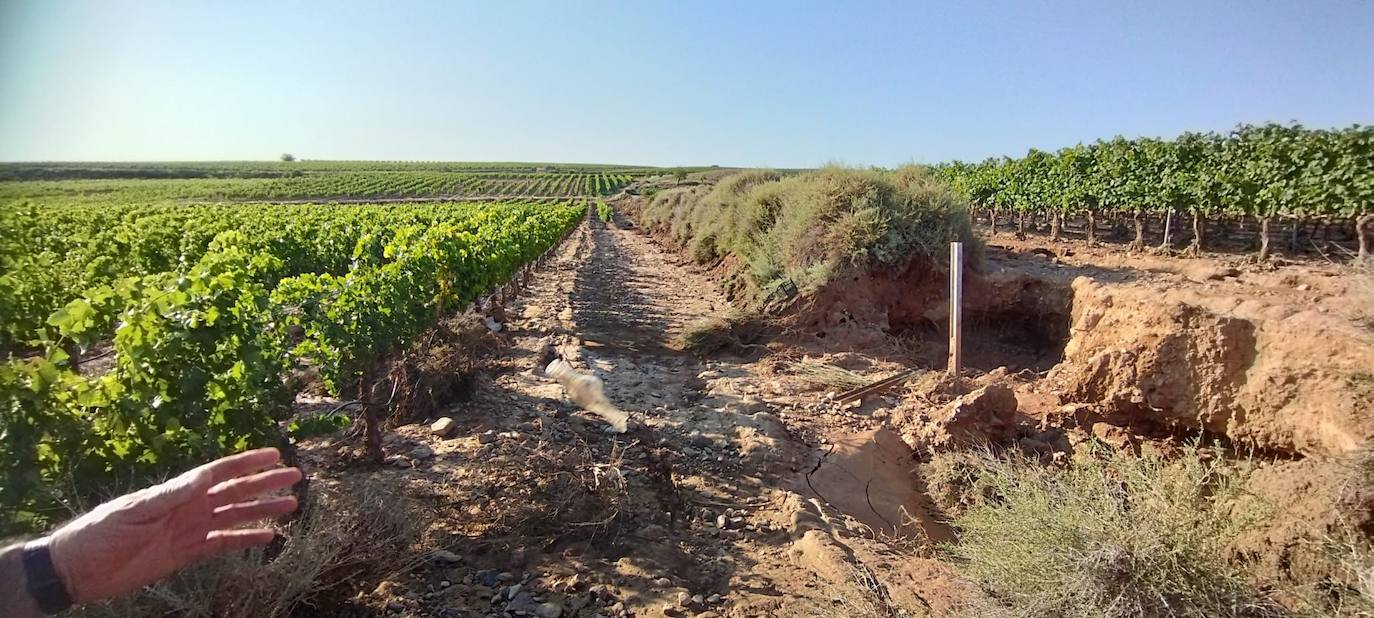 Estado en el que ha quedado un camino de acceso a viñedos en Aldeanueva