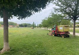 Trabajadores de Viveros Perica, cortando el césped de los jardines.