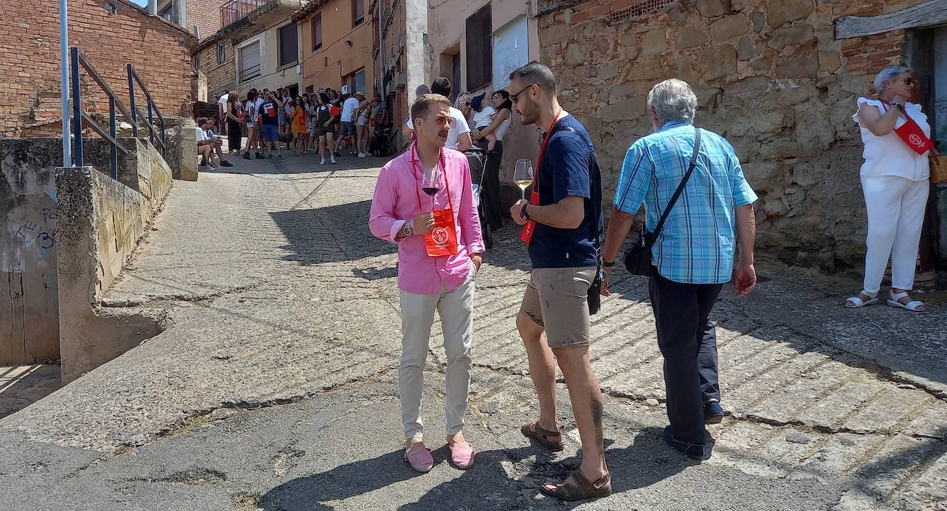 XIII Jornada de Puertas Abiertas de los calados de Villamediana