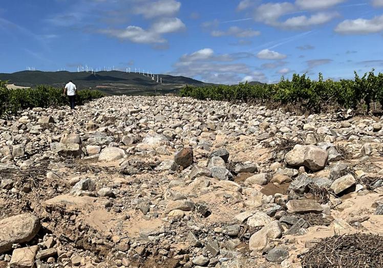 Imagen principal - La tormenta deja 138 kilómetros de ruina