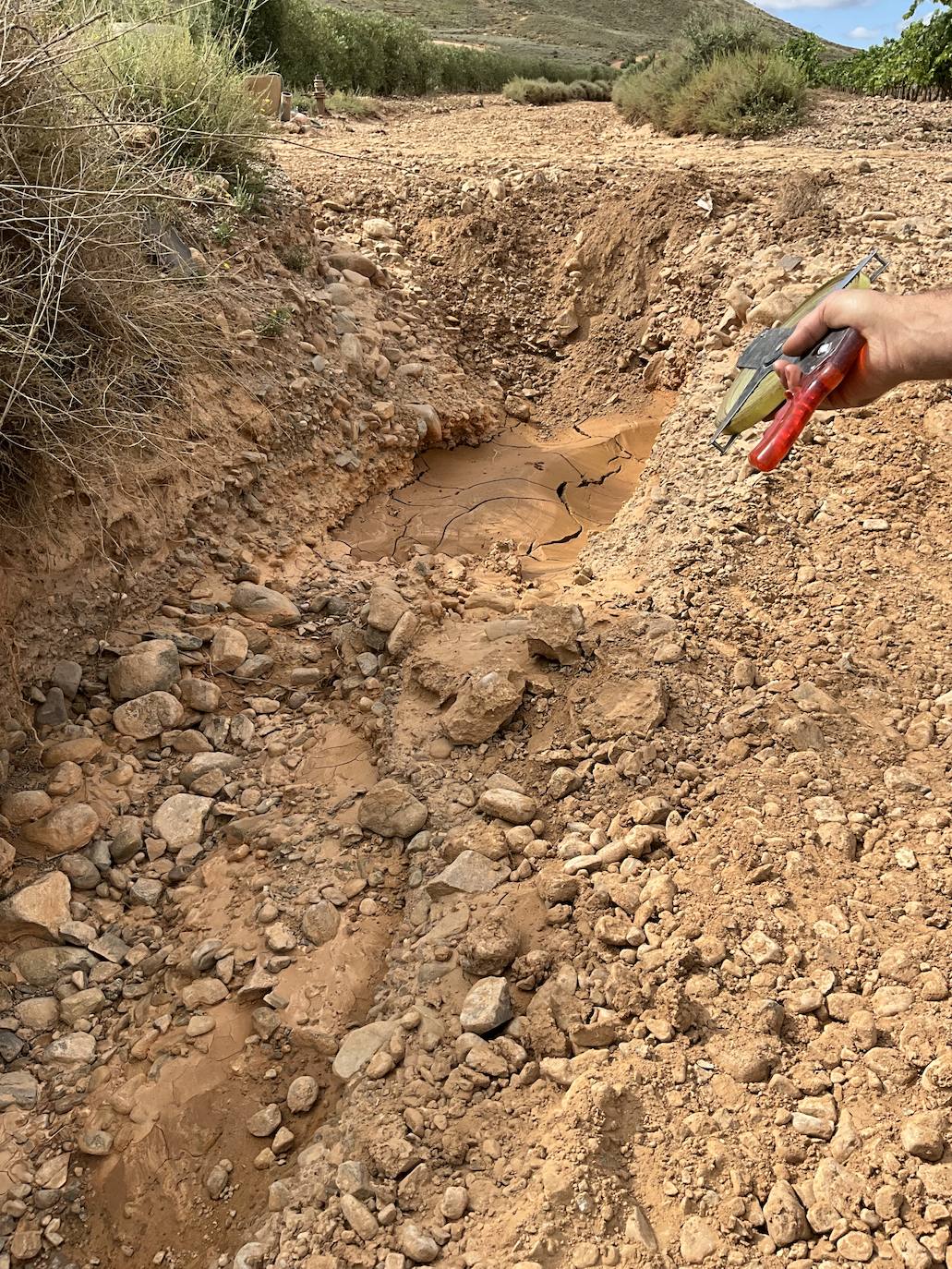 Daños en los caminos de Alfaro por las tormentas