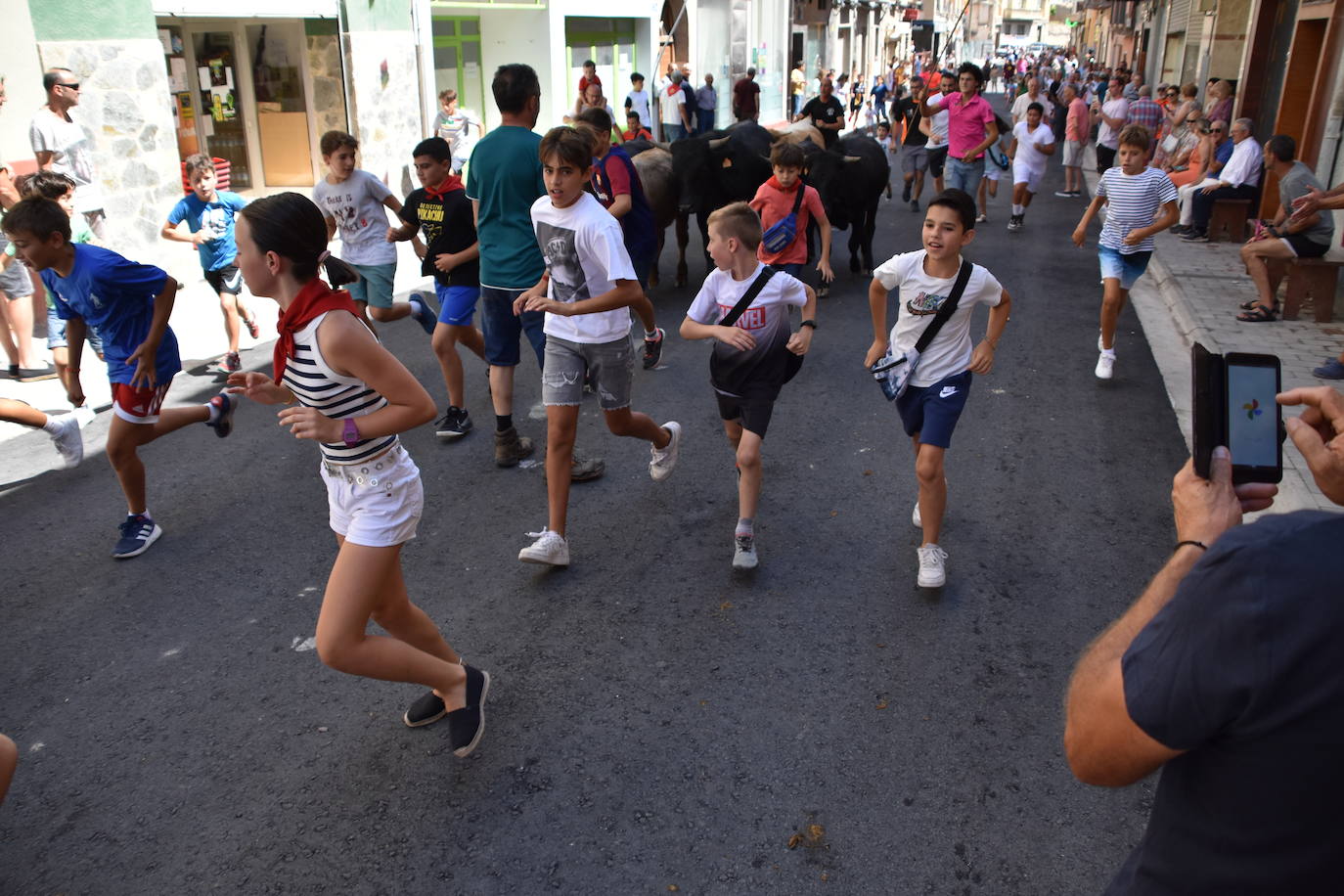 Vacas y paella en el último día de fiestas en Cervera