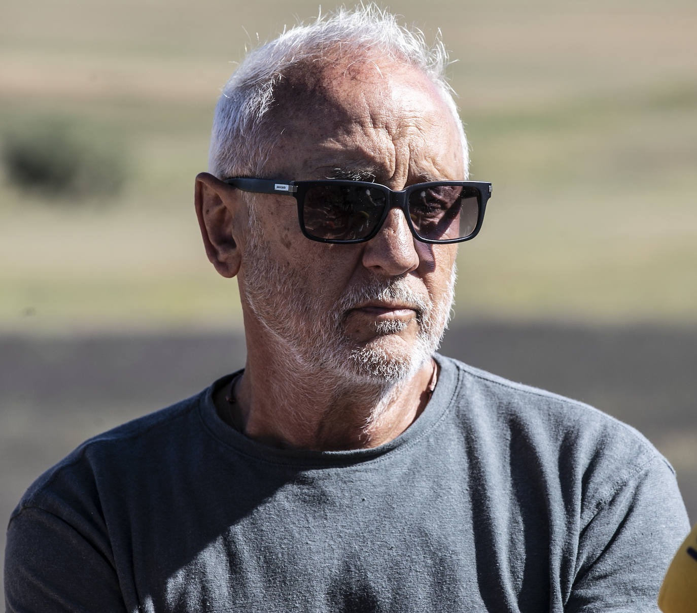 Plantación experimental de lavanda en la zona de Yerga