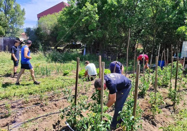 Jóvenes y mayores trabajan juntos en el huerto intergeneracional.