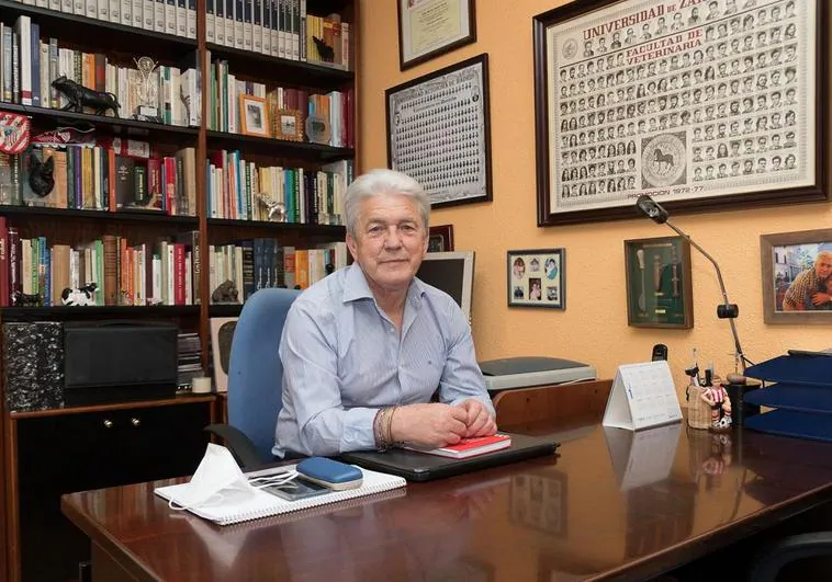 Julián Somalo, en su despacho.