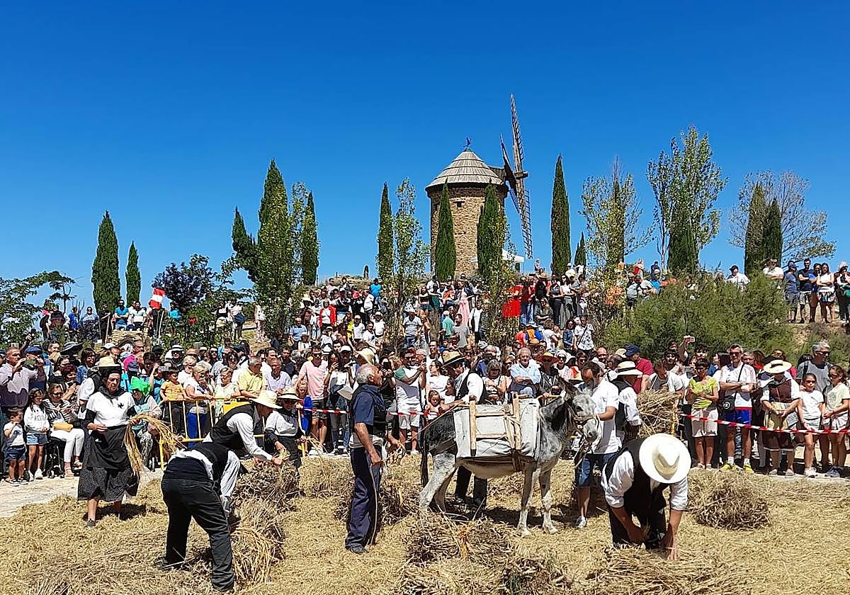 Fiesta de la molienda en Ocón