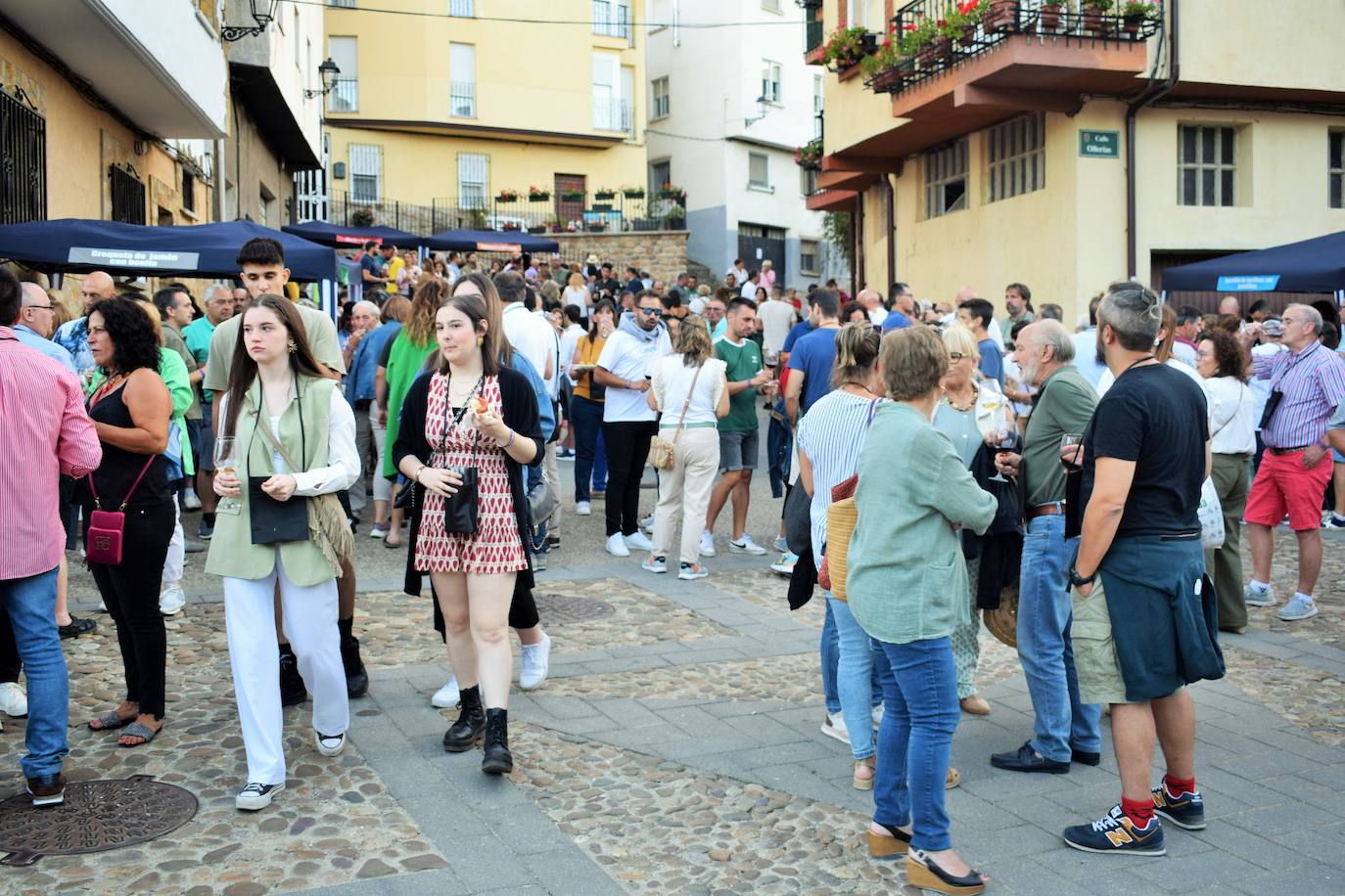 Torrecilla en Cameros celebra la I Fiesta del Vino de Rioja Solidario