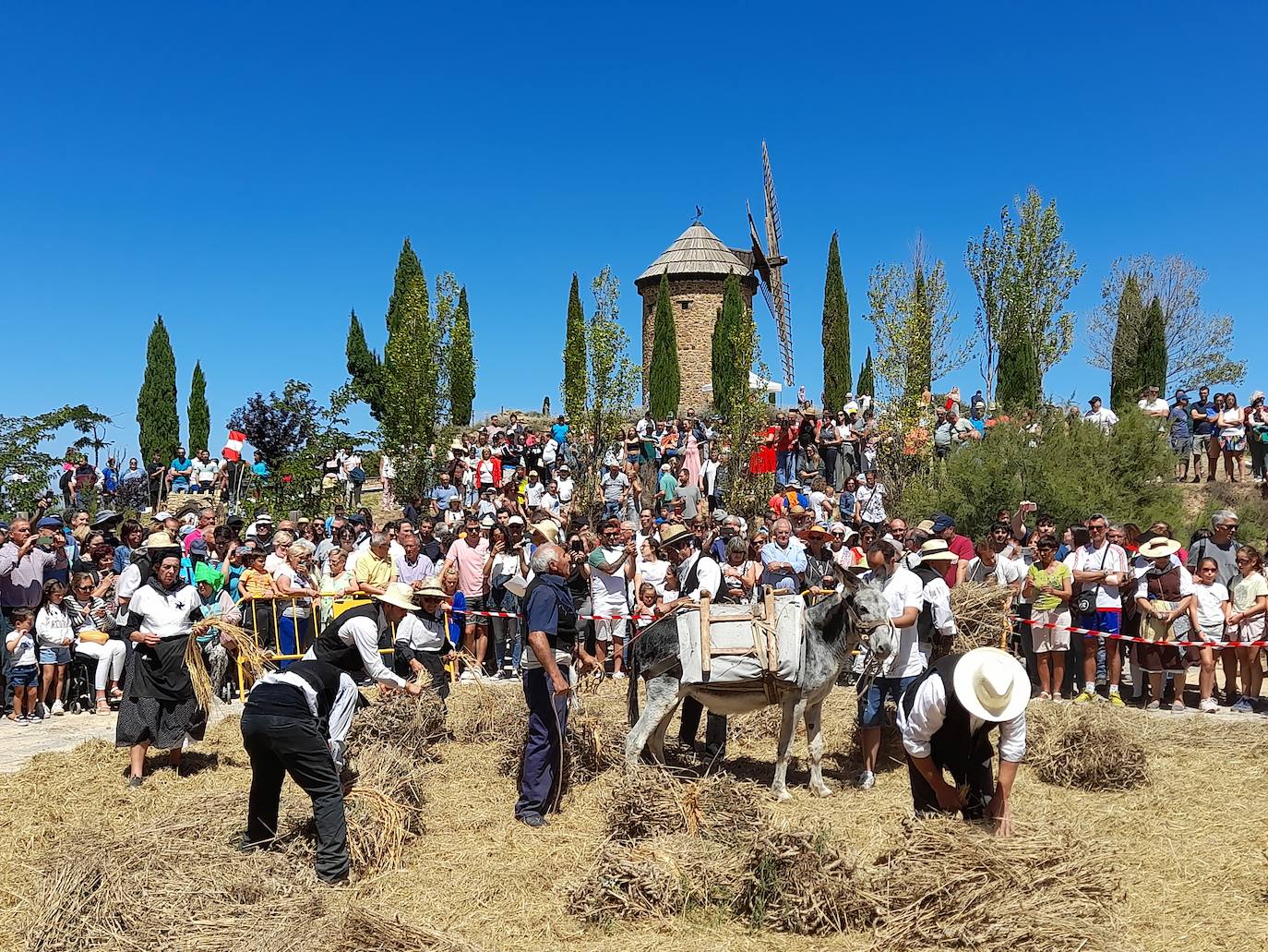 Fiesta de la molienda en Ocón