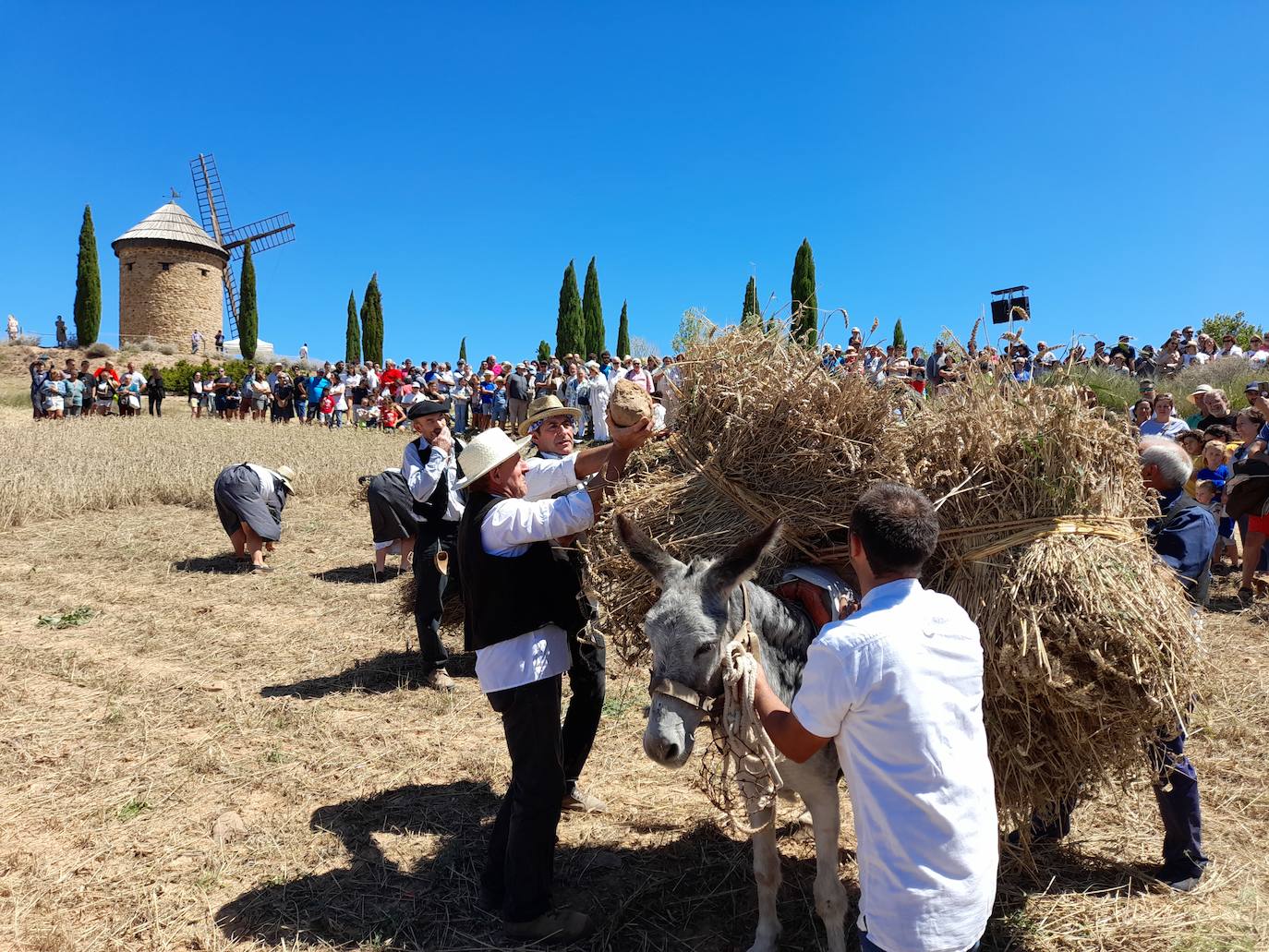 Fiesta de la molienda en Ocón