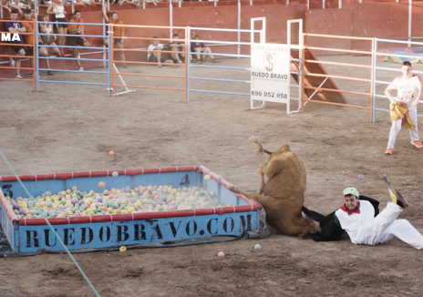 Imagen secundaria 1 - Pacma denuncia «las angustiosas caídas» de una vaquilla en el Grand Prix de Rincón de Soto