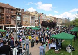 Escaparate del Rioja, uno de los eventos con más acogida de la peña.