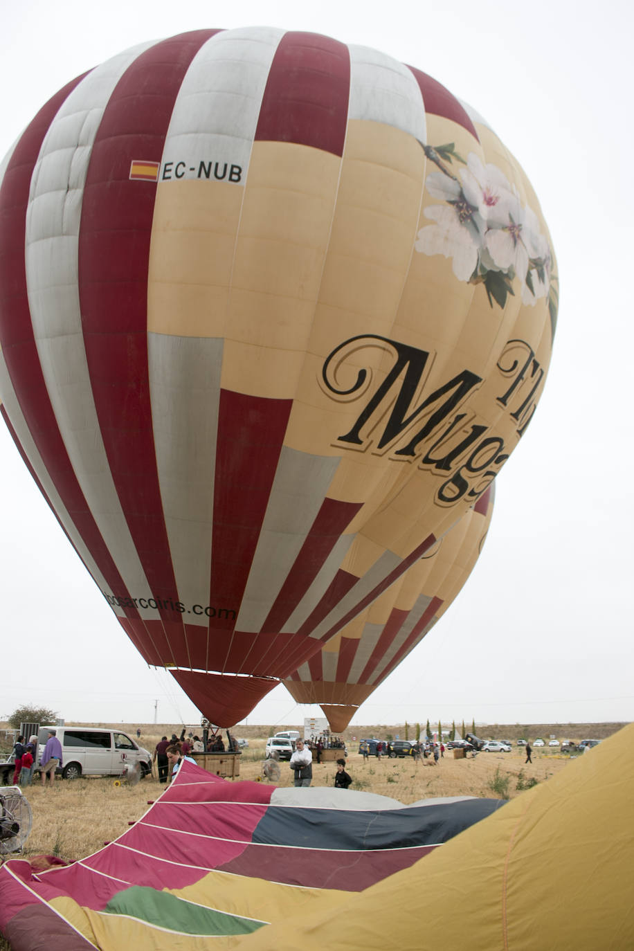 XXIII Regata internacional de globos aerostáticos &#039;Haro Capital del Rioja&#039;