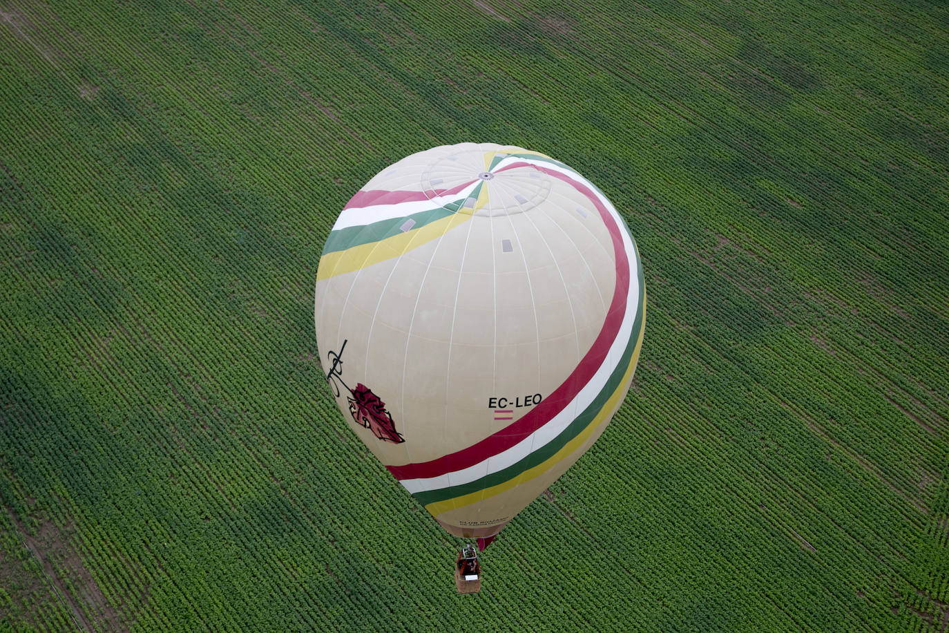 XXIII Regata internacional de globos aerostáticos &#039;Haro Capital del Rioja&#039;