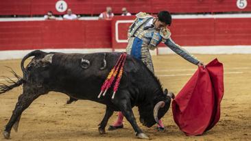 Plaza de toros de Alfaro